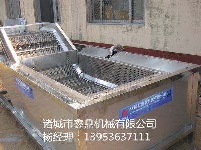 茎叶类蔬菜清洗机